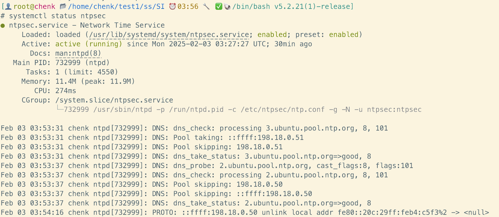 image-20250203115835862